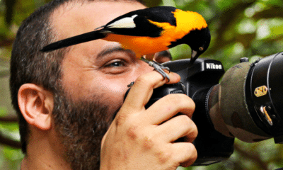 Leonardo Merçon comemora 20 anos de registros da natureza. Foto: Arquivo Pessoal
