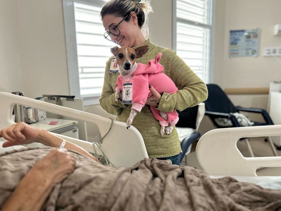 Cães treinados ajudam a levar conforto, afeto e leveza aos pacientes do Hospital Dr. Jayme durante as sessões de Pet Terapia