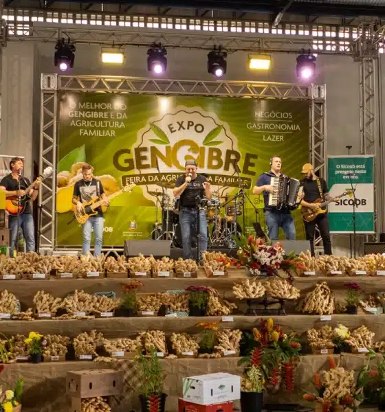 Expo Gengibre movimenta Santa Leopoldina de 30/05 a 01/06 com entrada gratuita, destacando a cadeia produtiva que posiciona o ES como líder nacional. Foto: João Teles