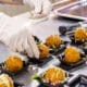 Cursos gratuitos de gastronomia; restaurante; comida