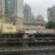chuva; previsão do tempo