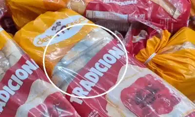 pão mofado e carne vencida foram apreendidos