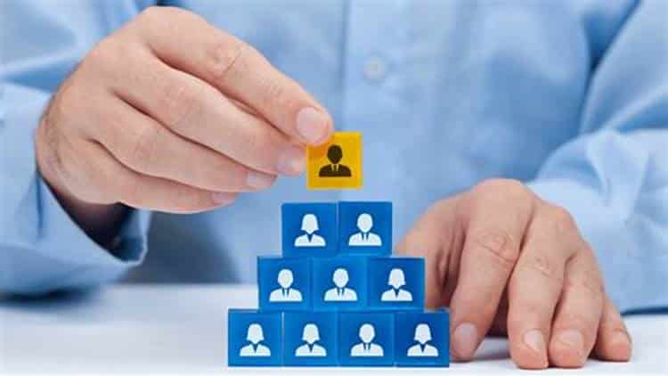 Herdeiros em treinamento: a sucessão premeditada como alicerce para perpetuar legados em empresas familiares brasileiras. Foto: Freepik