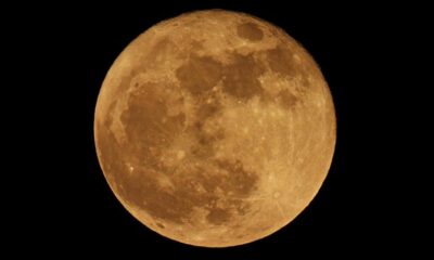 A última lua cheia da primavera no Hemisfério Norte é conhecida como lua de morango