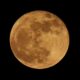 A última lua cheia da primavera no Hemisfério Norte é conhecida como lua de morango