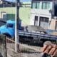 Buraco se abre e caminhão afunda no asfalto em Vila Velha
