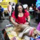 Pet Fair ES