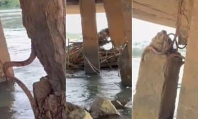 Ferragens expostas em ponte de Colatina preocupam moradores