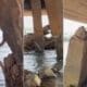 Ferragens expostas em ponte de Colatina preocupam moradores