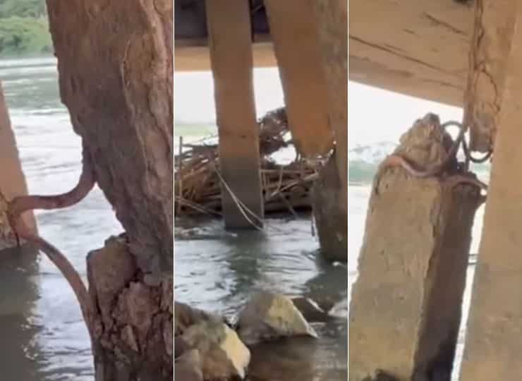 Ferragens expostas em ponte de Colatina preocupam moradores