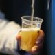 Grupo Coroa lança cerveja puro malte