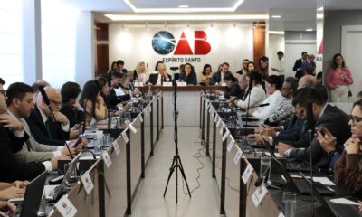 Reunião do Conselho Seccional da OAB-ES, presidido por Erica Neves. Foto: assessoria da OAB-ES