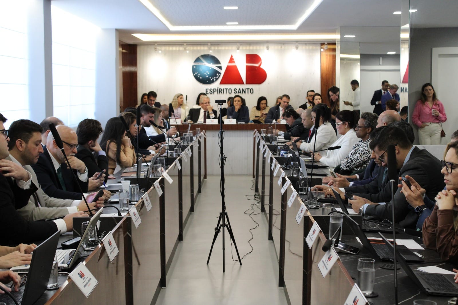 Reunião do Conselho Seccional da OAB-ES, presidido por Erica Neves. Foto: assessoria da OAB-ES