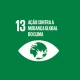 COP30 irá discutir a ODS 13, que marca a necessidade de mudança global. Foto: Reprodução