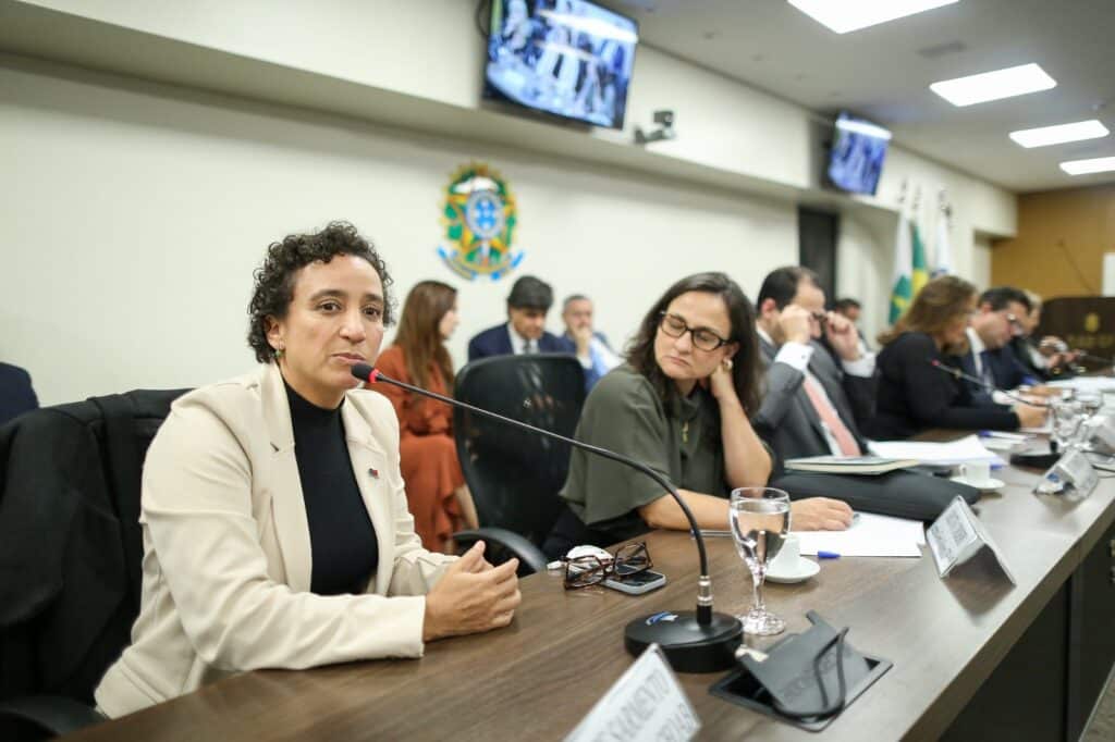 Presidente da OAB no Espírito Santo, Erica Neves
