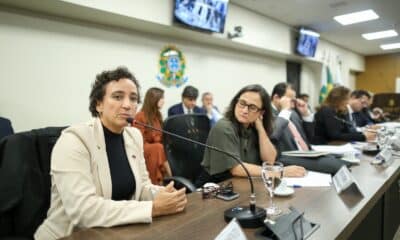Presidente da OAB no Espírito Santo, Erica Neves