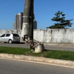 poste