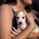 Evento no Shopping Vila Velha promove feira de adoção de cães e gatos e arrecada ração para animais acolhidos pela ONG Albergue Espaço Esperança. Foto: Freepik