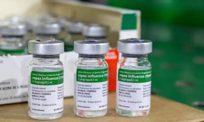vacina da gripe; vacinação