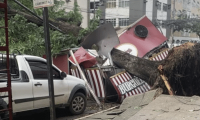 Árvore de grande porte caiu na Rua Comissário Octávio Queiroz, em Jardim da Penha, e atingiu um food truck estacionado no local