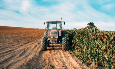Um trator parado na estrada ao lado de uma plantação; agronegócio