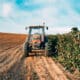 Um trator parado na estrada ao lado de uma plantação; agronegócio