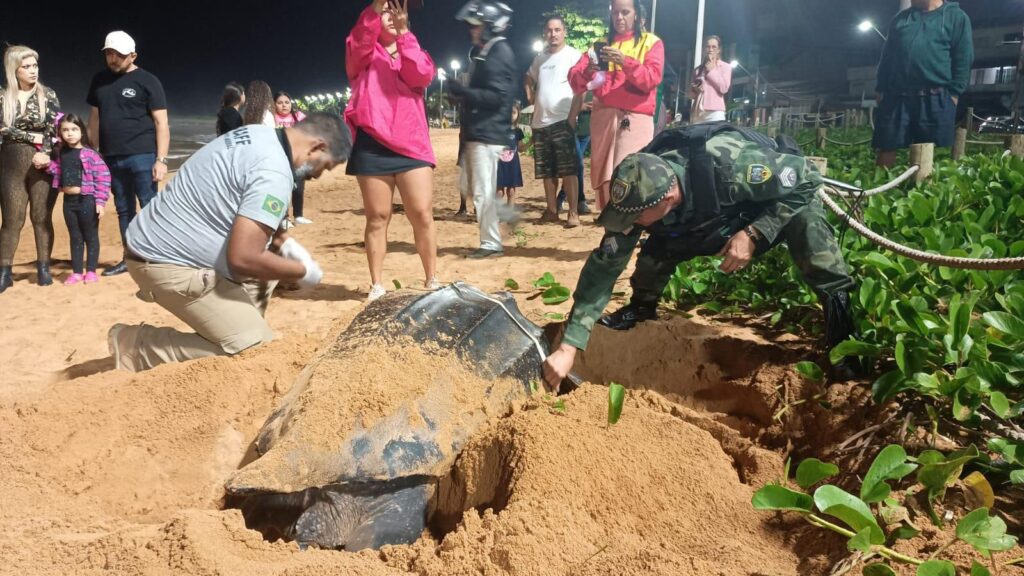 Tartaruga-de-couro encontrada em Jacaraípe, na Serra