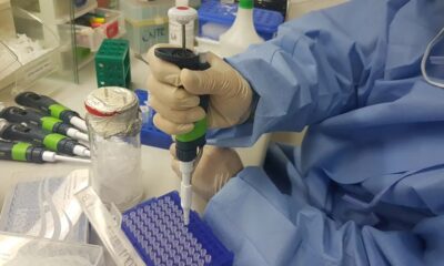 Os testes de DNA serão feitos até a próxima sexta-feira pela Defensoria Pública. Foto: Divulgação