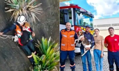Bombeiros resgatam cadela de penhasco em Venda Nova; após a operação, animal foi entregue com segurança à família emocionada