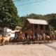 Feira terá cavalgada de Presidente Kennedy até a Fazenda Pindobas. Foto: Divulgação