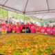 Leilão Solidário reúne atrações para todos os gostos. Foto: Divulgação