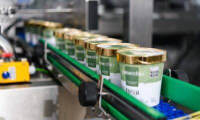 Linha de produção do Grupo Lamoia em Piúma, responsável por marcas como Real Gelato, Paletitas e Luigi