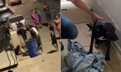 Moradores flagraram o momento em que um homem agride o cachorro comunitário “Negão” em Vila Velha; animal foi resgatado e recebe cuidados