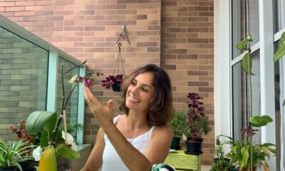 Na varanda de casa, Fabiany mantém suas próprias plantas e recebe hóspedes verdes que passam por cuidados semelhantes a um spa