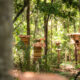 Meliponário do Parque Botânico Vale onde ficam as abelhas nativas. Foto: Levi Manzini Mori