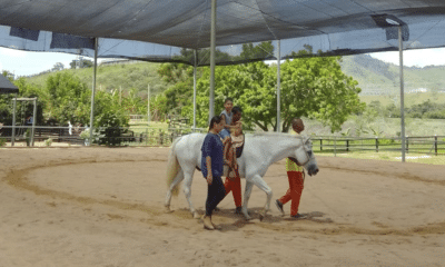 Projeto de equoterapia na Penitenciária Agrícola do Espírito Santo (Paes)