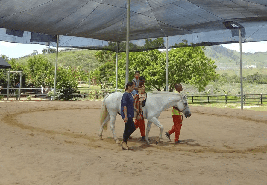 Projeto de equoterapia na Penitenciária Agrícola do Espírito Santo (Paes)