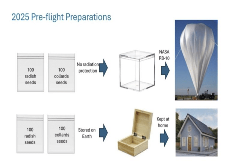 Esquema do experimento STEM – Experiment on NASA Flight RB-10, que enviou sementes de rabanete e couve ao espaço para análise dos efeitos da radiação solar, comparadas a sementes armazenadas na Terra