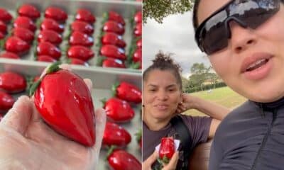 Vídeo com críticas ao atendimento em doceria de Jardim da Penha viraliza no TikTok