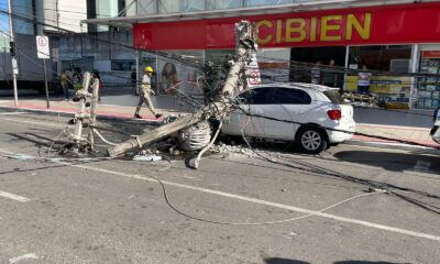 Dois postes caíram após caminhão atingir a fiação. Foto: Divulgação
