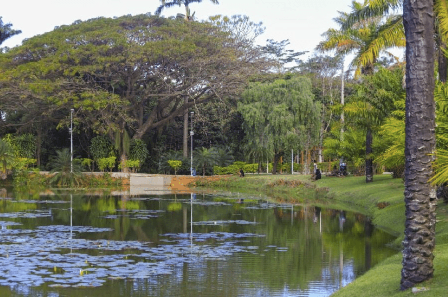 Área sombreada do Jardim Botânico revitalizado