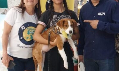 Feira de Adoção Pet. Foto: Divulgação/Shopping Montserrat