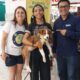 Feira de Adoção Pet. Foto: Divulgação/Shopping Montserrat