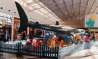 Exposição acontece no Shopping Praia da Costa. Foto: Divulgação