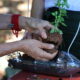 Experimentações no Parque. Foto: Marcos Salles