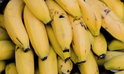 Penca de banana. Foto: FreePik