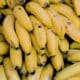 Penca de banana. Foto: FreePik
