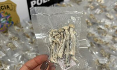 Polícia encontra 446 cogumelos alucinógenos em Vitória