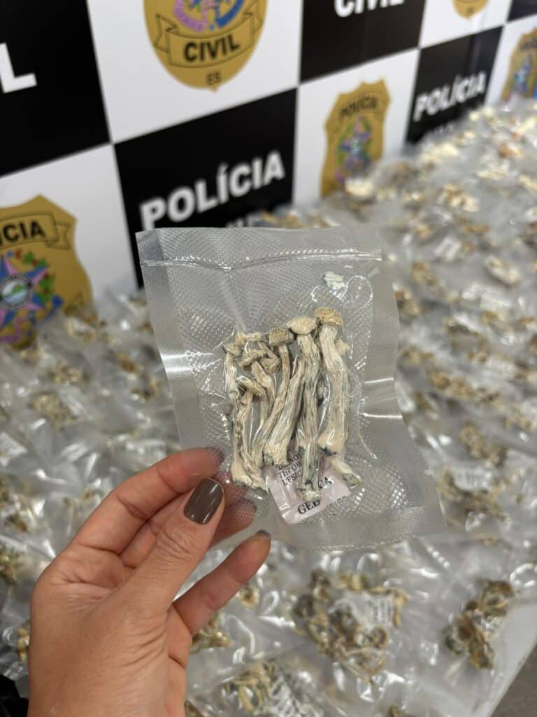 Polícia encontra 446 cogumelos alucinógenos em Vitória