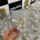 Polícia encontra 446 cogumelos alucinógenos em Vitória